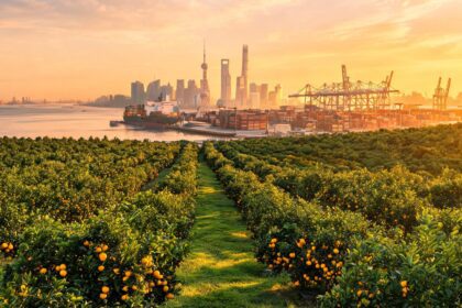 Shanghai Dinner Strengthens Australia-China Horticultural Cooperation 3 021787919770446ca3041a3a8c2b7f648d1ff1a7e90ae3f90f553 0