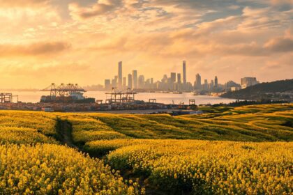 China's Open Market Draws Global Goods 5 0217880487659349255aa03547266d00c3fa3dce78057f1e53444 0