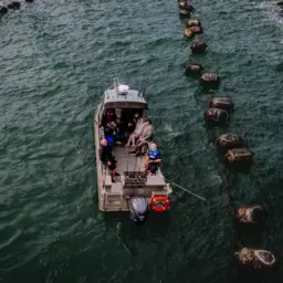 陈弘：炒作海缆安全凸显堪培拉焦虑