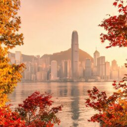 习近平会见乌兹别克斯坦总统米尔济约耶夫