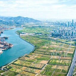 China unveils 153-point action plan for SCO development 3 021788286817298de824baea9702e17bffa39e9c3bdc4f66e08cc 0