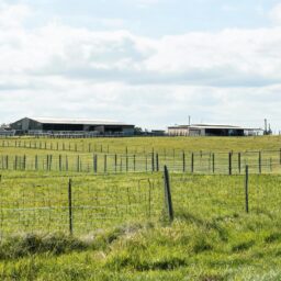 Australian Wagyu Imported Beef Procurement Guide: 3 Steps to Lock In Reliable Suppliers + Pitfall Avoidance + FAQ 3 021788394360176e78c31fe06d4434dfef0260629e4a08bf8f5e8 0
