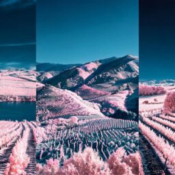 0217887179761130b63b37cbca791937f2f41fb0469576d2ea532 0
