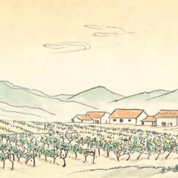 Marlborough wine: what buyers should know 4 02178871838199940d92d5266a85c14e28416df297f1b20b12b61 0