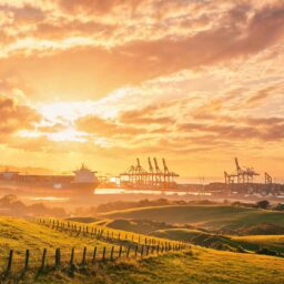 Australian Wagyu Beef Imports After 67% Tariff Hike: Buying Guide and FAQs 3 02178897879341889d0c17fc196b3c940c12dd7ad5b500be1cc89 0