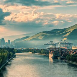 Cultural exchange drives trade as NZ-China matchmaking forum opens in Chengdu 3 021789042877940682583ac3749be18cdf4b3a384433037375c10 0