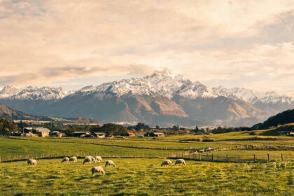 NZ Government introduces two new seasonal work visas to boost economic growth 12 021789237973745795aa3a4ba36fe885727fc31a219ca2511bcfb 0
