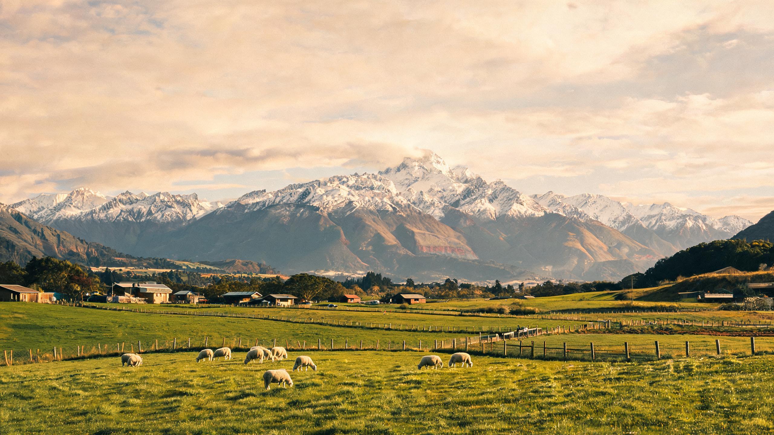 NZ Government introduces two new seasonal work visas to boost economic growth 2 AI-generated illustration: NZ Government introduces two new seasonal work visas to boost economic growth