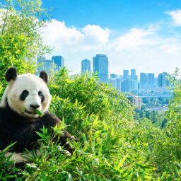 Consul-General Chen Shijie attends New Zealand Guangzhou Association's 2026 Mid-Autumn 3 021789431604992031cf6218c12fc0ace26887030dd7ea8170b97 0