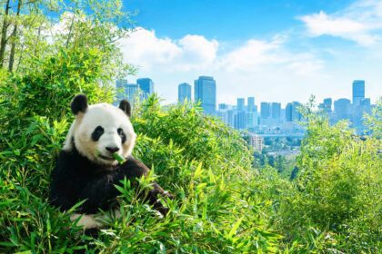 Consul-General Chen Shijie attends New Zealand Guangzhou Association's 2026 Mid-Autumn 3 021789431604992031cf6218c12fc0ace26887030dd7ea8170b97 0