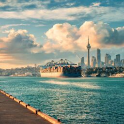 Auckland consulate trade office joins NZ exhibits dispatch ahead of 9th CIIE 3 0217895399010717424dba2bd6e77b99d402060a9cf8c0f6bbec1 0
