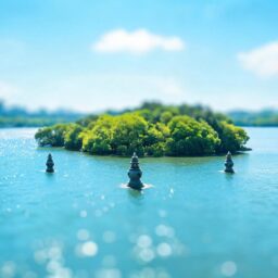 APEC young entrepreneurs' conference opens in Hangzhou 4 0217897954853727424dba2bd6e77b99d402060a9cf8c0f894007 0