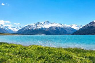 Christchurch Consulate-General hosts 'Getting Close to Rewi Alley, Inspiring Life's Journey' event 7 0217899698321208f4f8ecdaf0d8a16803f1d267b7ea40d4efc4a 0