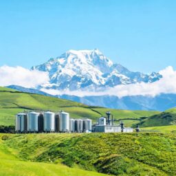 NZ Agricultural Exports Hit Record $22.25b, But Growth Slows 3 0217903148100549255aa03547266d00c3fa3dce78057f133cce8 0