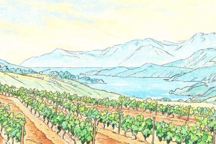 New Zealand Wine Exports Hit NZ$2.108 Billion 1 02179071045254691be90b70b1bfc3059428bd07e108b7ec7368c 0