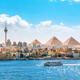 Xi to Attend SCO Summit, Visit Kyrgyzstan and Egypt 3 color illustration 17954 1789111676
