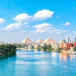 Xi's Egypt visit set to chart new course for bilateral ties 4 color illustration 18213 1789123274