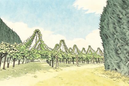 color illustration 4230 1789089425