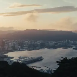 Ocean University of China, Victoria University of Wellington launch joint double master's programme for 2027 3 pexels photo 18062808