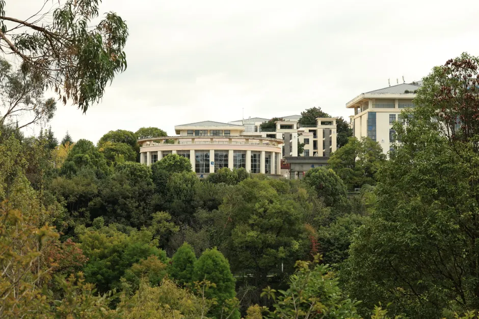 Hunan Business Service Centre seeks bids for 2026 Australia-NZ delegation services 2 Hunan Business Service Centre seeks bids for 2026 Australia-NZ delegation services