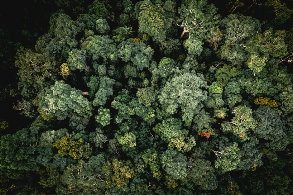 pexels photo 38037382