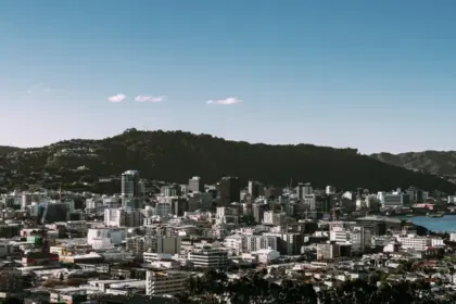Shandong, NZTE sign FernMark arrangement to promote trusted NZ products 17 pexels photo 9855729
