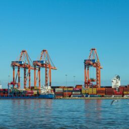China-US agricultural trade slumps 33%, consultations set expansion targets 3 stock 11705 1789109004