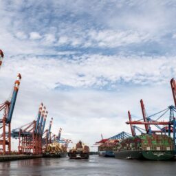 China's Imported Wine Market Grows 7.5% in 2023, Competition Intensifies 4 stock 12148 1789109485