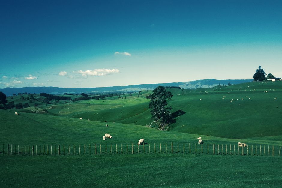 Ambassador Wang Xiaolong attends BAIC New Zealand brand launch 2 Landscape illustration