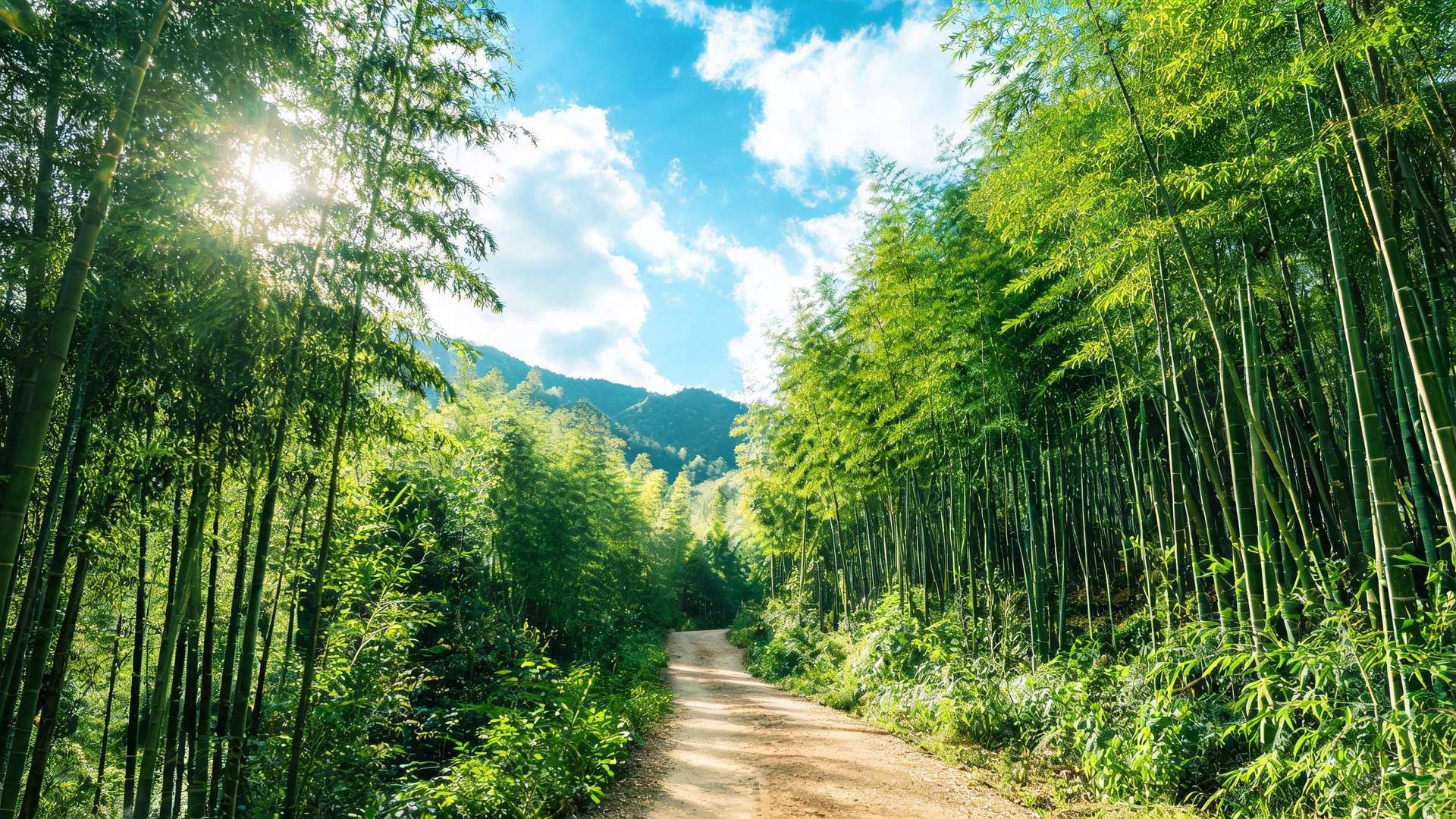 Exclusive: Former NZ PM Jenny Shipley says Shenzhen APEC can chart course out of 'difficult moment' 2 Landscape illustration