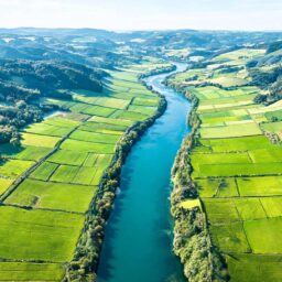 Twenty NZ Firms Head to Chongqing in Search of Multi-Sector Partnerships 4 0217920433489330e23c04e8b740c94d8512f0597aa5fa6dbb2bc 0
