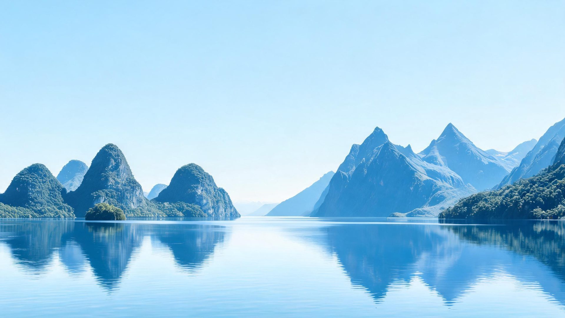 Virtual exchange builds China-New Zealand cooperation bridge