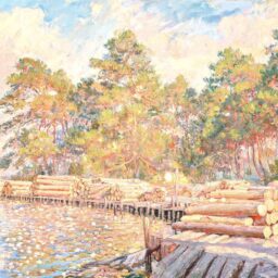 Radiata Pine Log Quotes from Three Major Chinese Ports