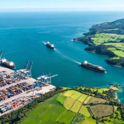 Land-sea link creates two-way logistics corridor between Qingdao and New Zealand