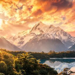 Green Finance Daily: Kiwi Property Launches NZ0m Green Bond as Carbon Rules Reshape Trade