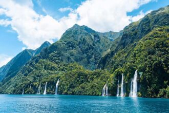 Hunan Business Service Centre Taps Haichang to Organise Australia-NZ Delegation 7 Hunan Business Service Centre Taps Haichang to Organise Australia-NZ Delegation