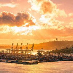 Auckland consulate commerce office visits SF Express New Zealand