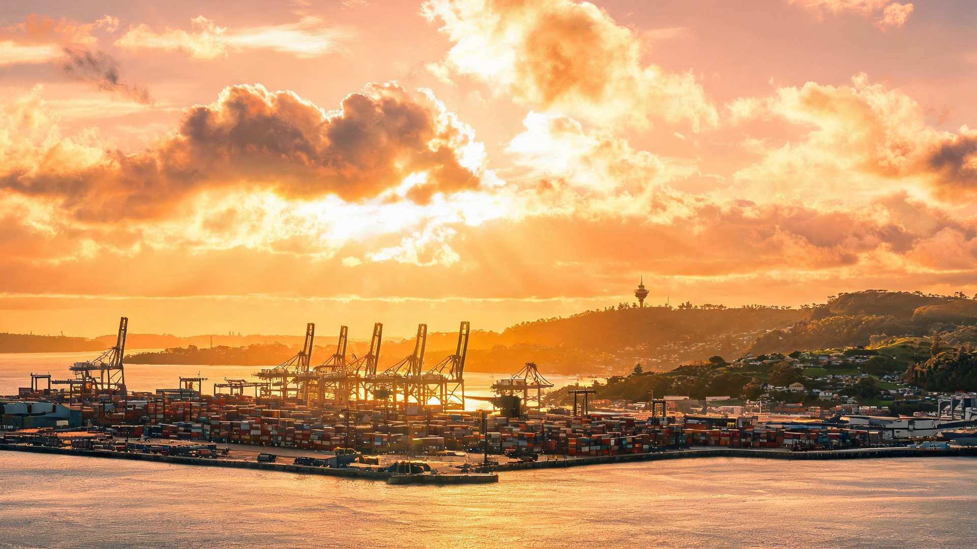 Auckland consulate commerce office visits SF Express New Zealand