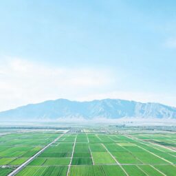 驻华使节宁夏行：读懂中国因地制宜的发展密码 – 新华网 > 新闻 > 正文