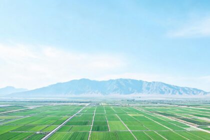 驻华使节宁夏行：读懂中国因地制宜的发展密码 – 新华网 > 新闻 > 正文