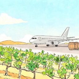 新西兰葡萄酒空运进口代理报关公司,报关报检及海外订舱服务