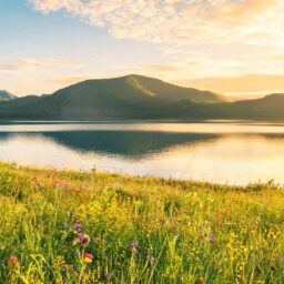 新西兰汉泰康首秀服贸会 携手挪威阿克海洋生物开启全球营养健康战略合作