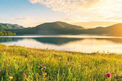 Hantekang makes CIFTIS debut, signs global nutrition and health pact with Norway's Aker BioMarine 11 Hantekang makes CIFTIS debut, signs global nutrition and health pact with Norway's Aker BioMarine