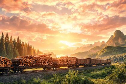 International Wood Train Services from Russia and New Zealand to Guangyuan Launched