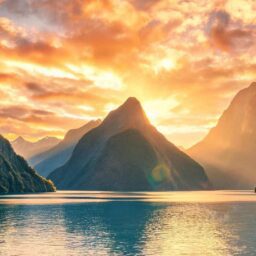 Eric Roy: Confidence High in Kiwi Trade 3 Eric Roy: Confidence High in Kiwi Trade