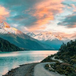 新西兰中国商会顺利完成新一届会长推选 – 新西兰中国商会 China Chamber Of Commerce In New Zealand