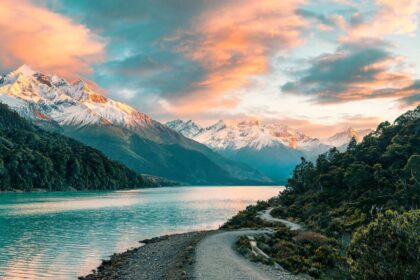 新西兰中国商会顺利完成新一届会长推选 – 新西兰中国商会 China Chamber Of Commerce In New Zealand