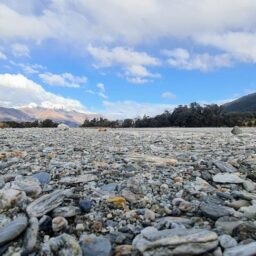 NZ Guangdong Chamber Attends Yunfu RCEP Conference and Stone Technology Exhibition