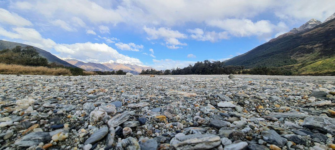 NZ Guangdong Chamber Attends Yunfu RCEP Conference and Stone Technology Exhibition 2 NZ Guangdong Chamber Attends Yunfu RCEP Conference and Stone Technology Exhibition
