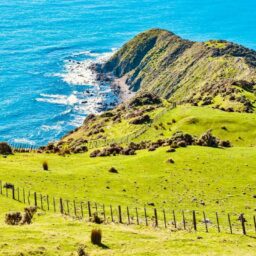 NZ Politicians Fan Interference Fears as Dairy Giants Eye Chinese Demand 4 NZ Politicians Fan Interference Fears as Dairy Giants Eye Chinese Demand